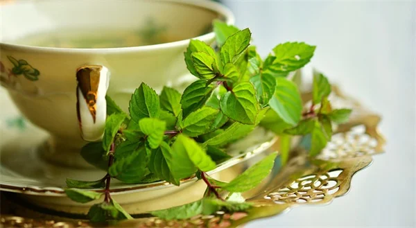 Cranberry Hibiscus: How to Grow, Eat &amp; Enjoy This Edible Purple Leaf